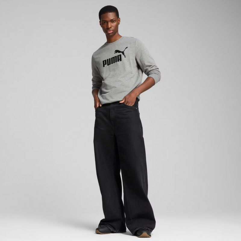 Puma ESS No.1 Logo Crew TR M sweatshirt 682560 03 Pulóver - Sportmania.hu