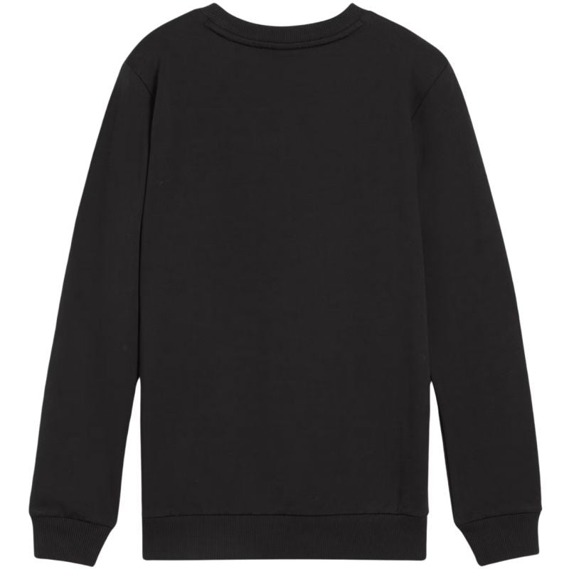 Puma Team Goal Casuals Crew Neck Sweat Jr 658593 03 pulóver - Sportmania.hu