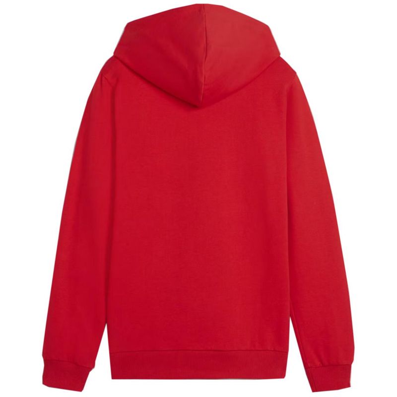 Puma Team Goal Casuals Hoddy Jr sweatshirt 658619 01 Pulóver - Sportmania.hu