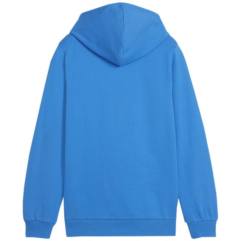 Puma Team Goal Casuals Hoddy Jr sweatshirt 658619 02 Pulóver - Sportmania.hu