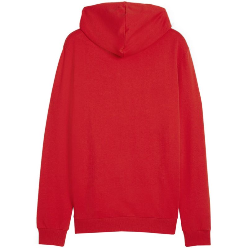 Puma Team Goal Casuals Hooded M 658595 01 sweatshirt Pulóver - Sportmania.hu