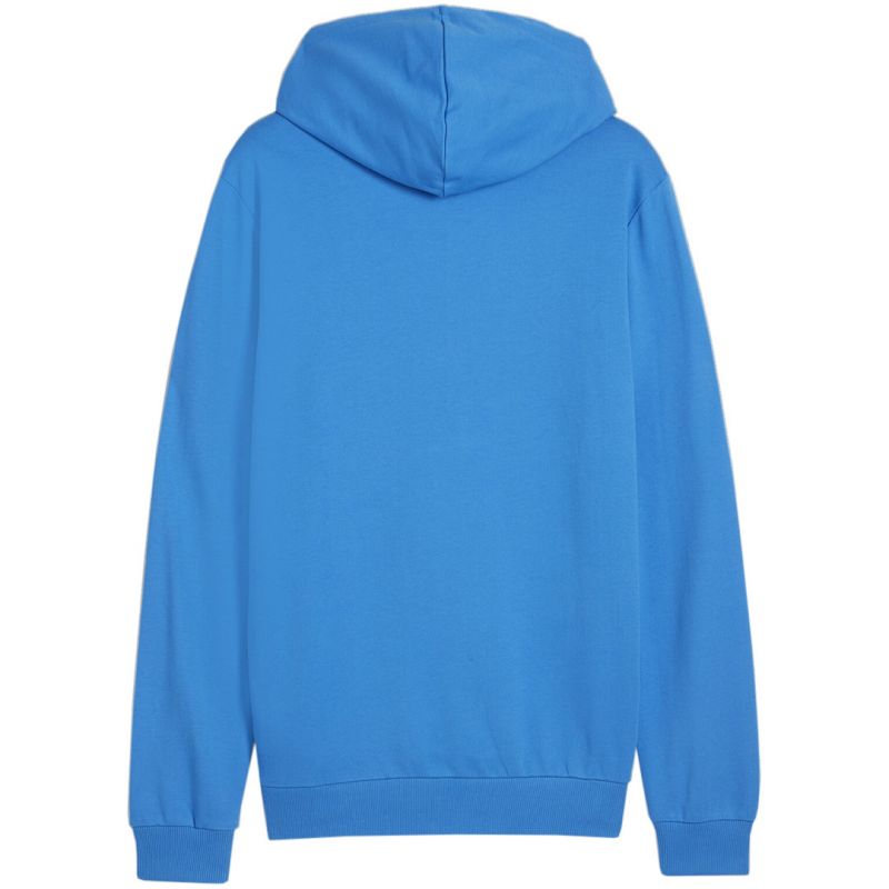 Puma Team Goal Casuals Hooded M 658595 02 sweatshirt Pulóver - Sportmania.hu
