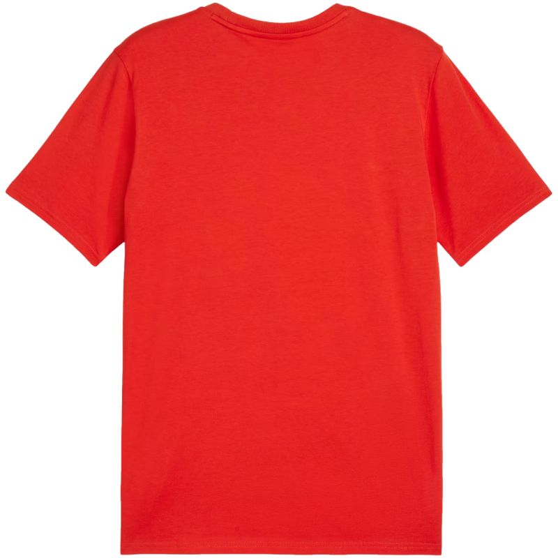 Puma Team Goal Casuals Tee M 658615 01 Póló - Sportmania.hu