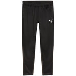 Puma Team Goal Training Pants M 658639 03 Nadrág - Sportmania.hu