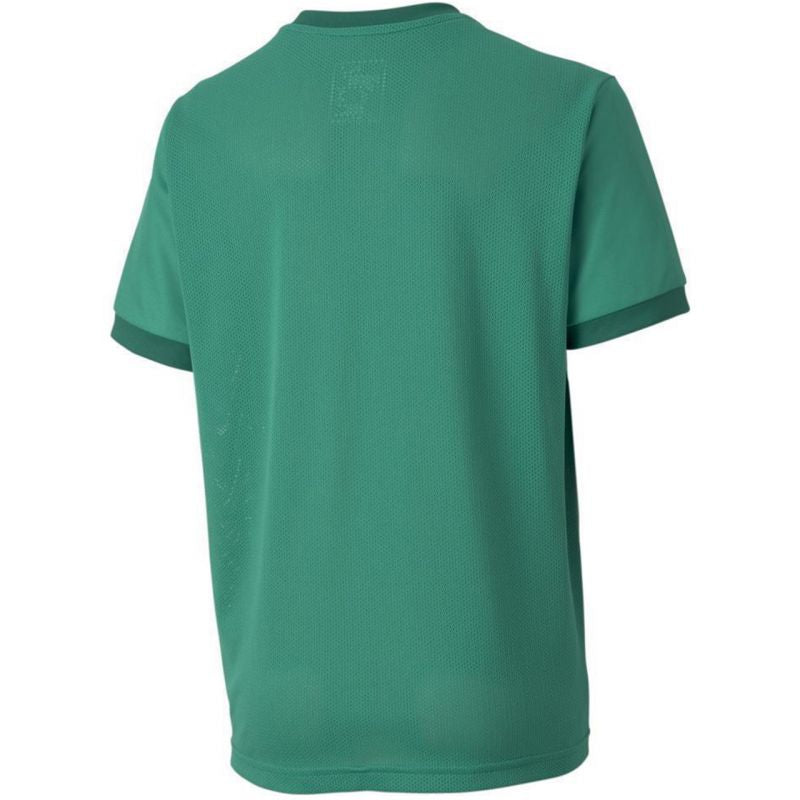 Puma teamGOAL 23 Jersey Jr T-shirt 704160 05 - Sportmania.hu