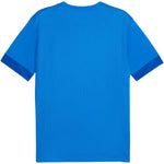 Puma teamGoal Matchday Jersey kék férfi póló 70574702
