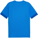 Puma teamGoal Matchday Jersey kék férfi póló 70574702