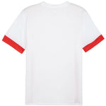 Puma teamGoal Matchday Jersey M 705747 11 póló - Sportmania.hu