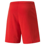 Puma Teamrise Short - Sportmania.hu