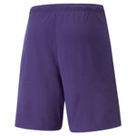 Puma Teamrise Short - Sportmania.hu