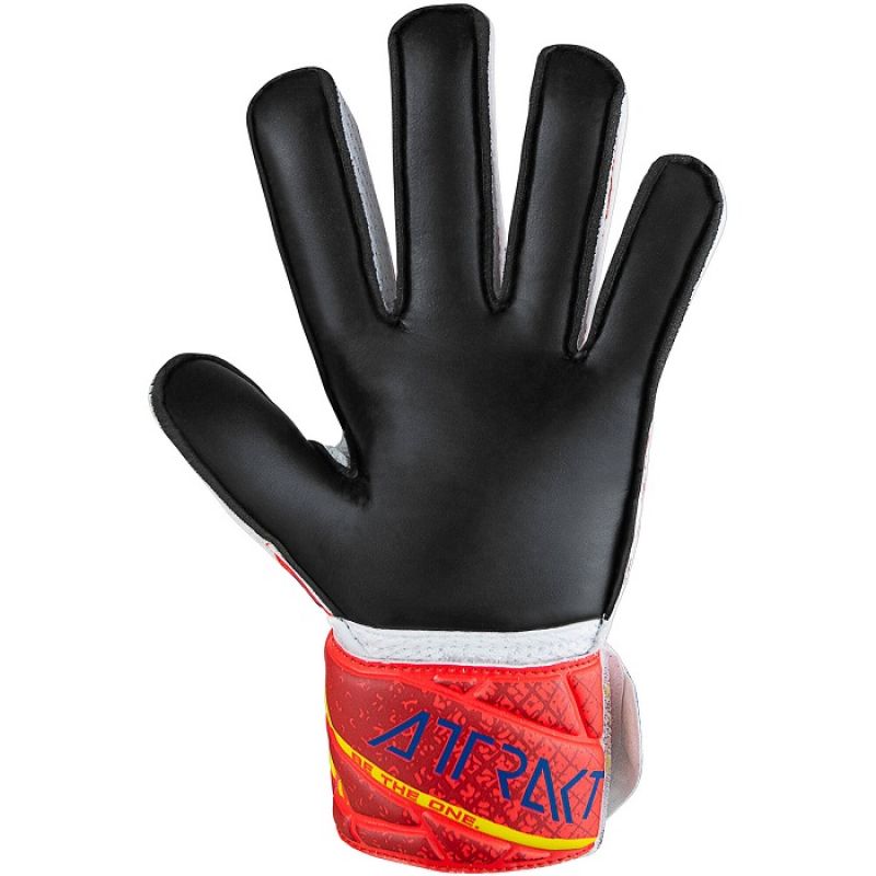 Kép alternatív szöveg