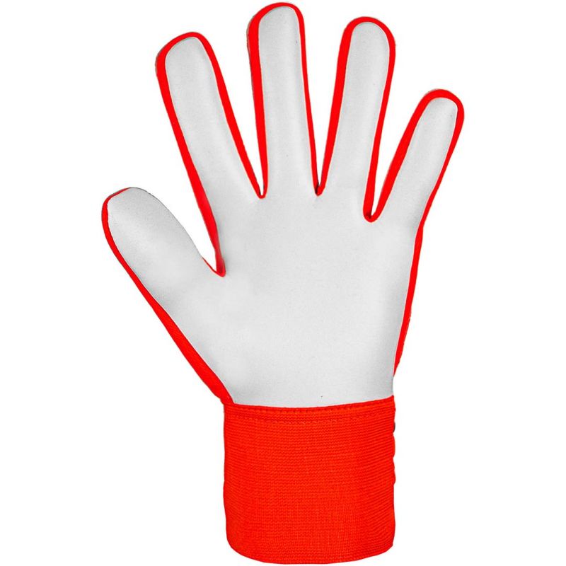 Reusch Attrakt Starter Solid goalkeeper gloves 5470514 2210 Kesztyű - Sportmania.hu