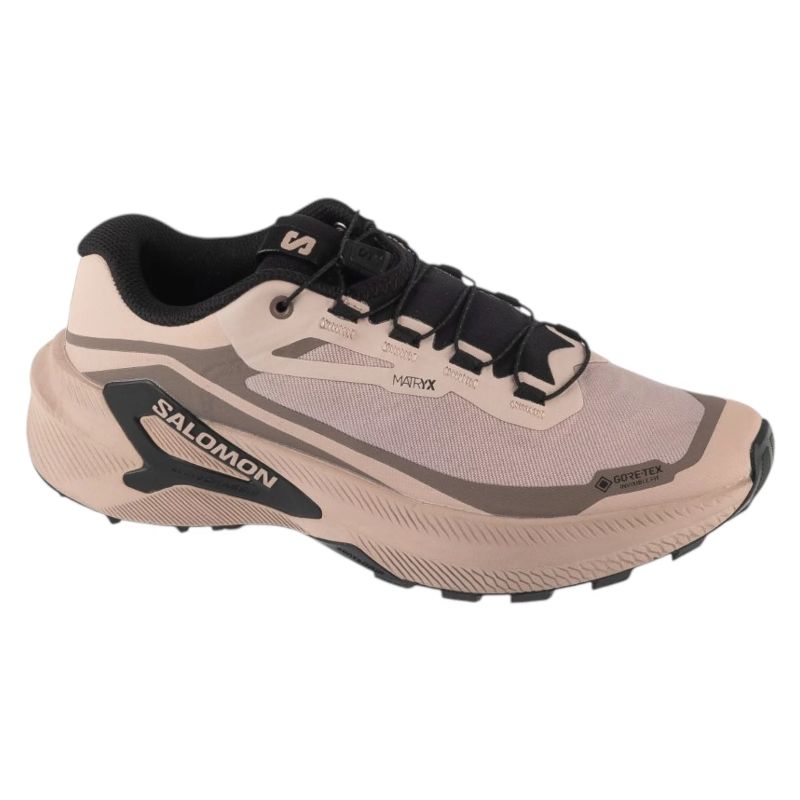 Salomon Genesis 2 GTX W női cipő, szürke
