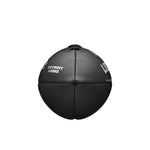 Wilson Detroit Lions NFL Team Metallic Premiere amerikai futball labda - Sportmania.hu