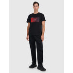 Men's regular printed T-shirt 4F 4FRAW25TTSHM3224-20S póló