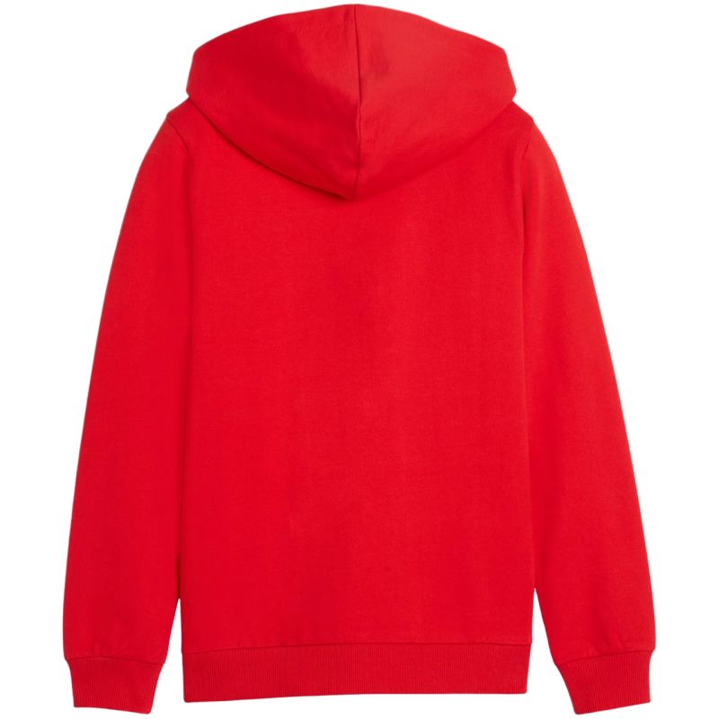 Puma teamGoal Casuals Hooded kids' sweatshirt red 658596 01 General