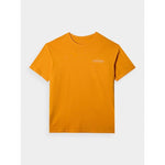 Men's oversized printed T-shirt 4F 4FRAW24TTSHM2578-70S póló