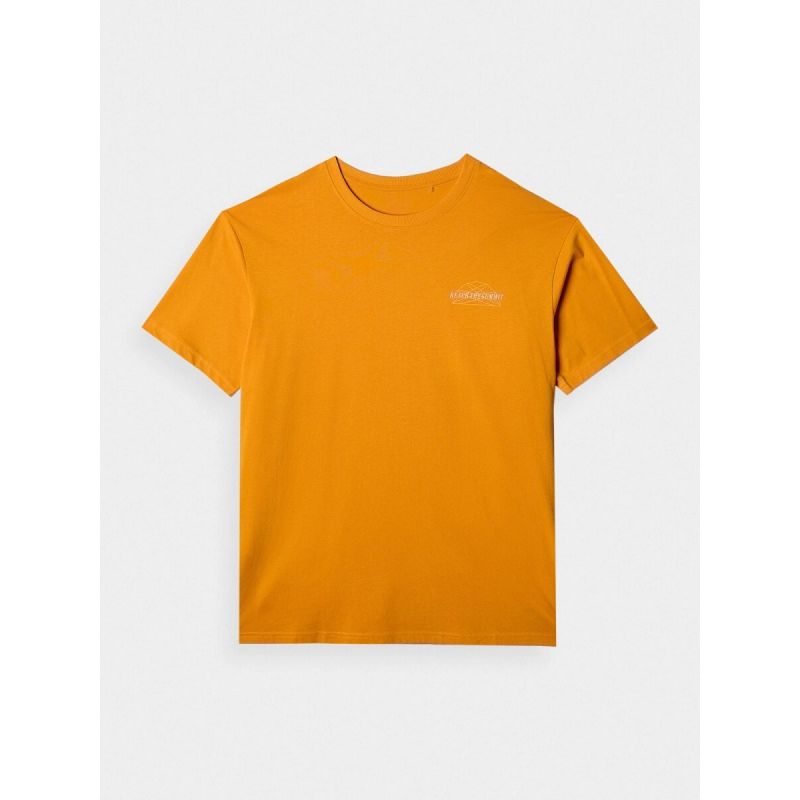 Men's oversized printed T-shirt 4F 4FRAW24TTSHM2578-70S póló