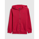 Boy's regular hooded sweatshirt 4F 4FJRSS26TSWSM2749-62S sweatshirts
