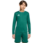 adidas Entrada 26 Long Sleeve Jersey for Kids KF5873 zöld póló