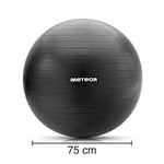 Meteor Fitness 75 cm Black uniw labda 17875
