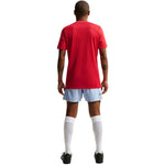 Nike Dri-Fit Park 26 SS Top Men's T-Shirt Red HM7127 piros póló