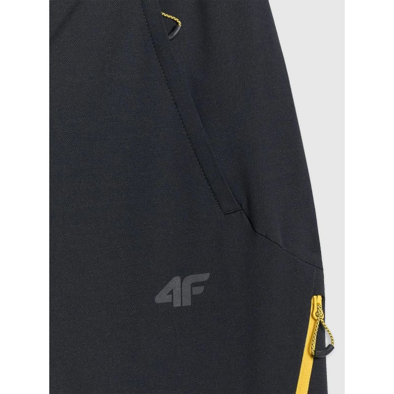 Men's trekking trousers 4F 4FRAW25TFTRM1233-20S