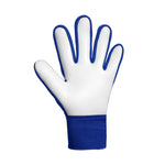 Reusch Attrakt Starter Solid Junior goalkeeper gloves 5672514 kék kapuskesztyű