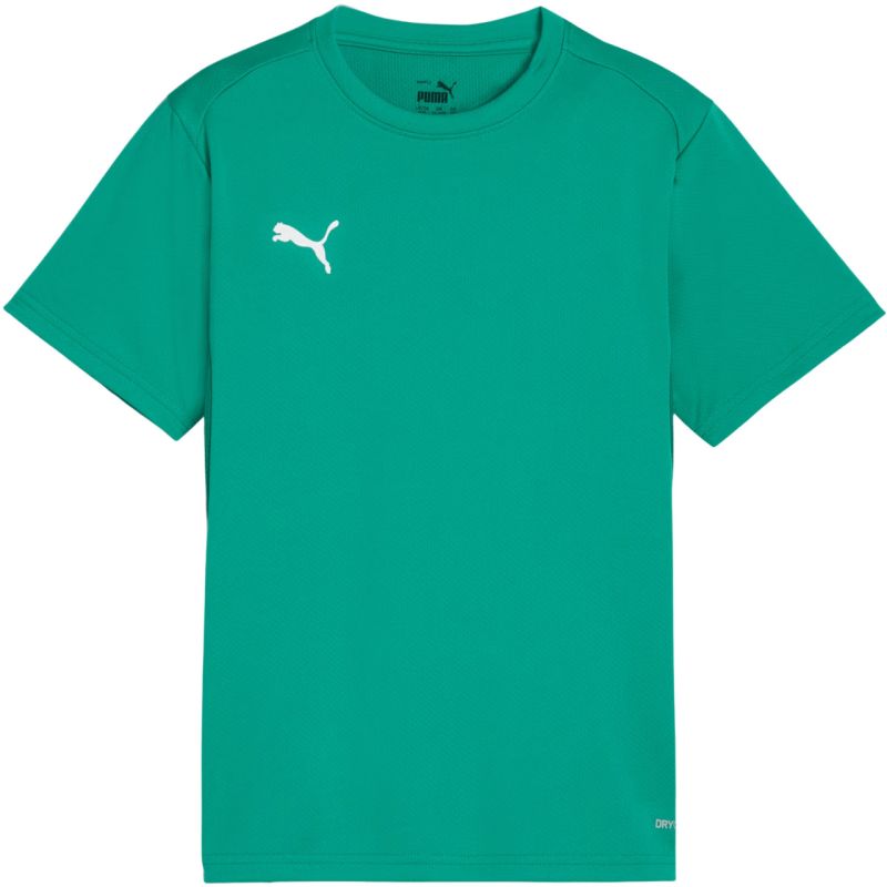 Puma TeamGoal Jersey for kids green 658637 05 Ruházat
