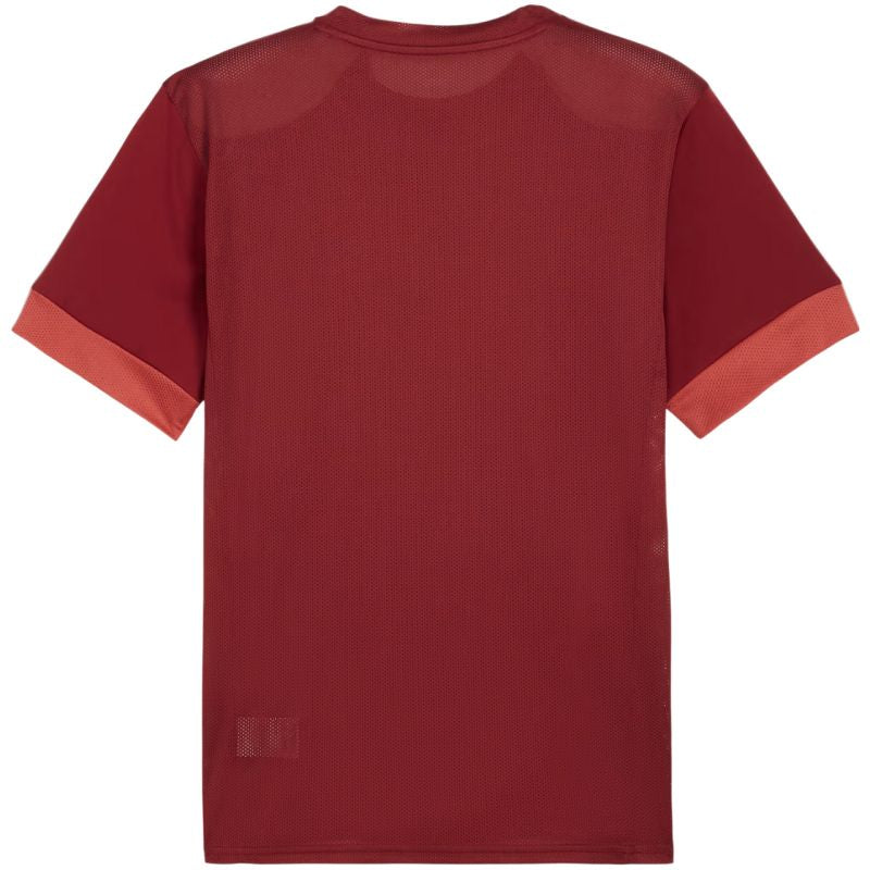 Puma teamGoal Matchday Jersey men's burgundy 705747 09 Kiegészítő