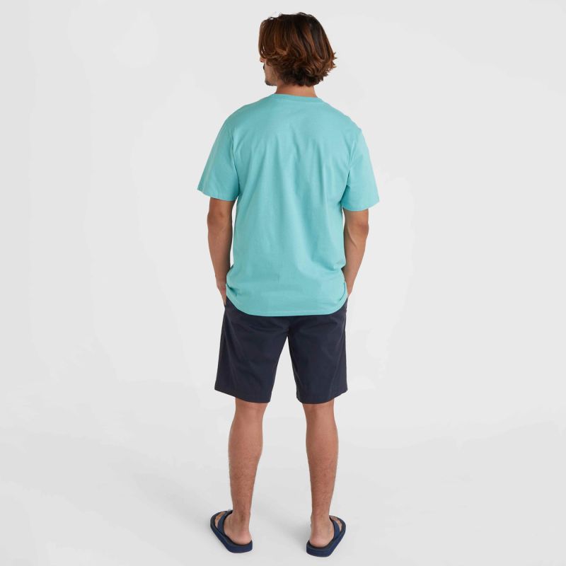O'Neill Essentials Chino sötétkék shorts, pants