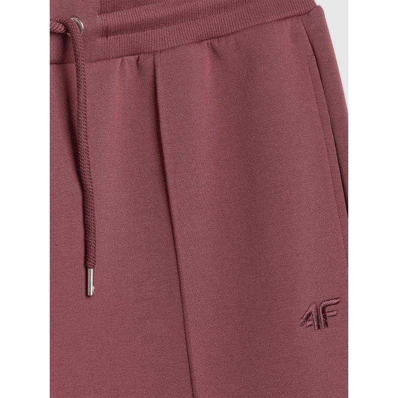 Men's sweatpants 4F