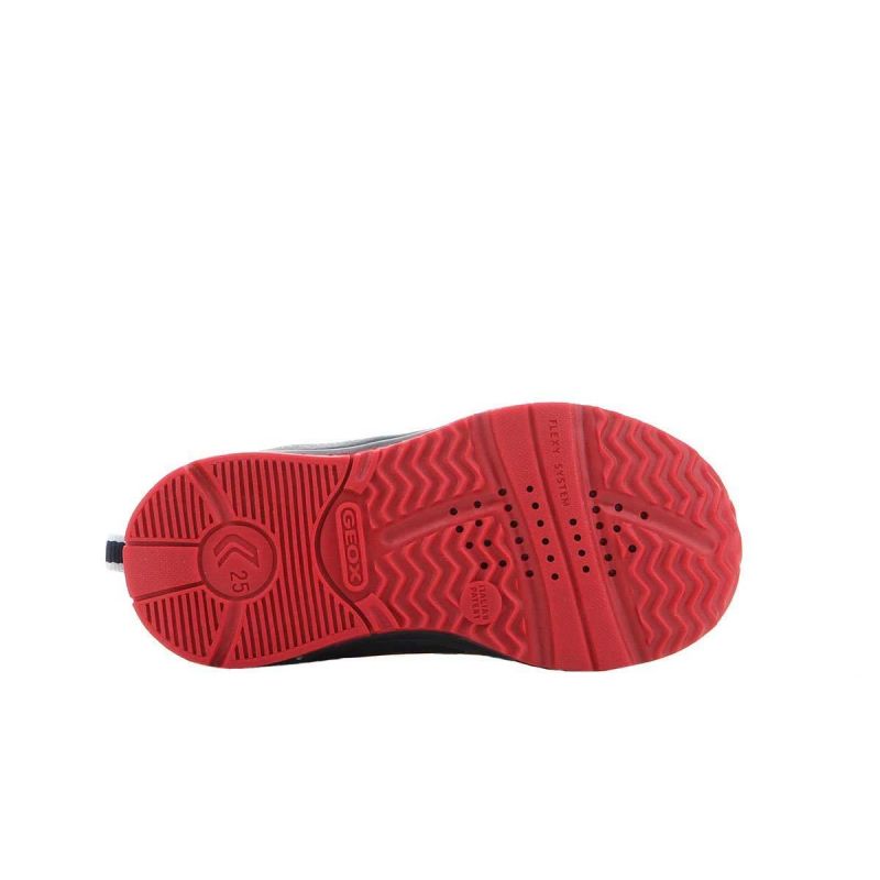Geox B Todo BC B8284C 011BC C0735 accessories