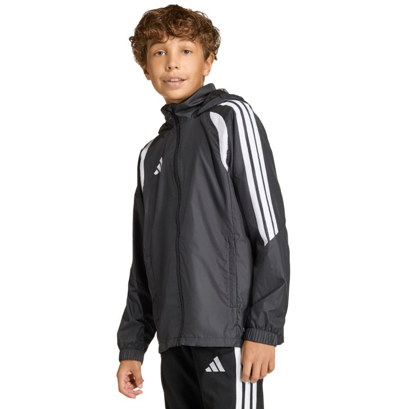 Kép alternatív szöveg