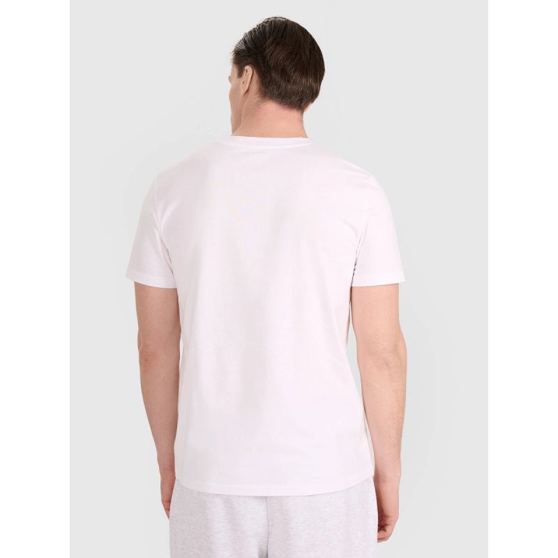 Men's regular t-shirt with volleyball print 4F 4FRAW25TTSHM3237-10S 3xl póló