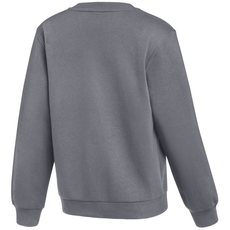 Nike Park 26 Fleece Crew Kids' Sweatshirt Gray IB1188 szürke clothing