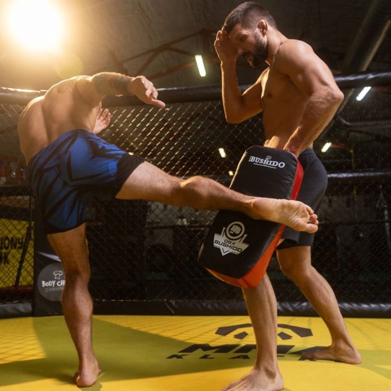 DBX Bushido | Thai training target with an elongated profile czarno-biała training equipment, shields