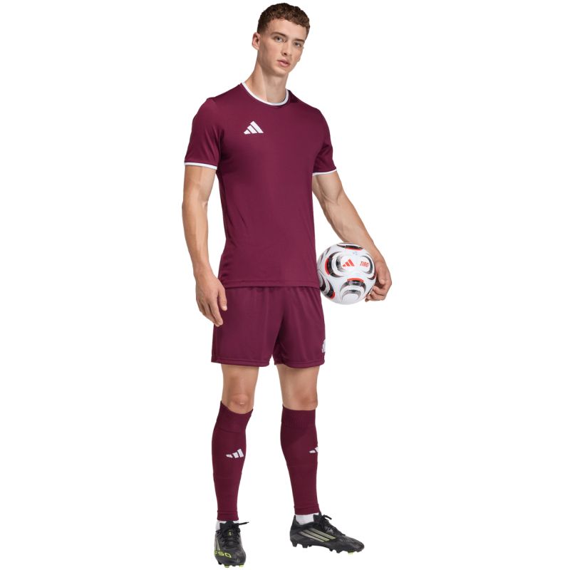 Adidas Men's Entrada 26 bordó short