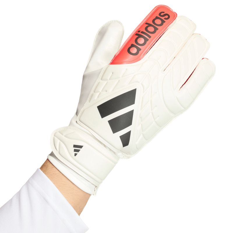 Image alt