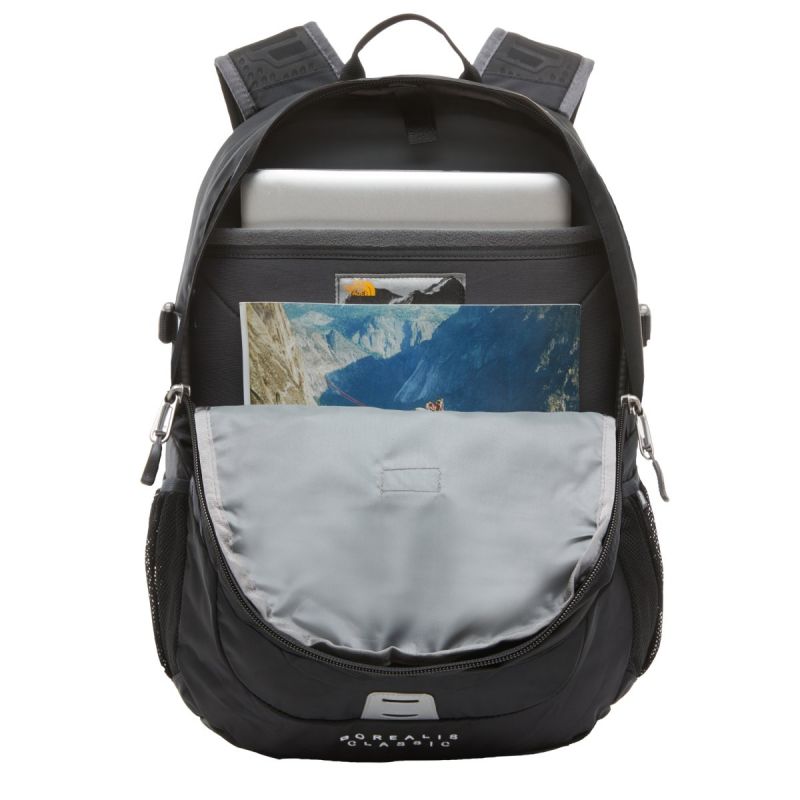 Image alt