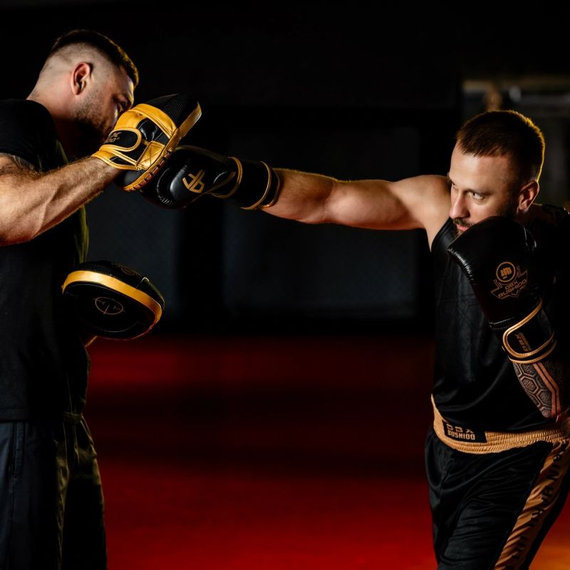 DBX Bushido Multi-layer boxing gloves - ProFighter Gold - Legacy Series bordeaux kesztyű