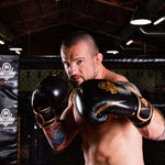 DBX Bushido 10oz Boxing Gloves - Aureos - Valor Series kesztyű