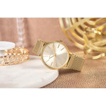 Michael Kors Pyper Women's Watch + BOX watches
