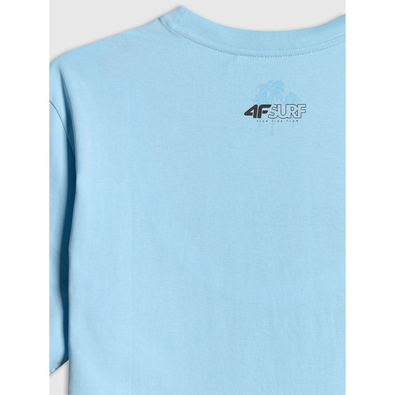 4F Men's regular printed T-shirt póló 4FRSS26TTSHM4291-34S