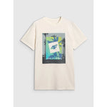 Men's regular printed T-shirt 4F 4FRSS25TTSHM2846-12S póló