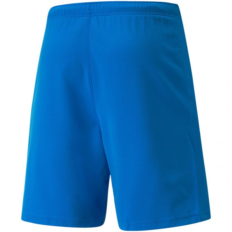 Puma teamRISE Short M 704942 02 Short