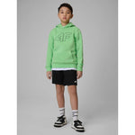 Boy's regular hooded sweatshirt 4F 4FJRSS26TSWSM2748-41S sweatshirts