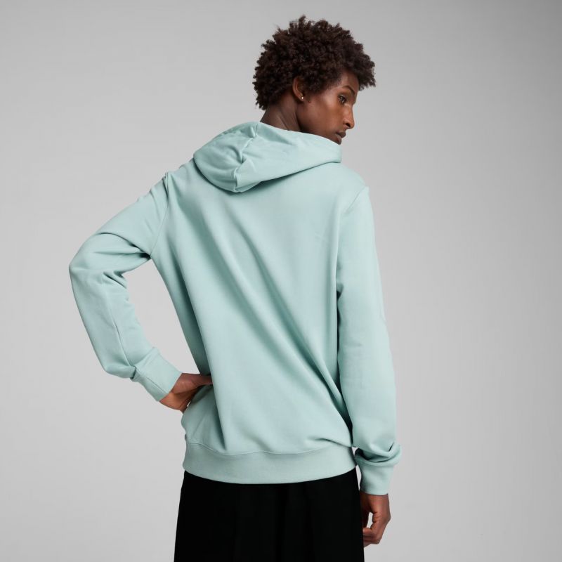 Puma Ess 2 Color Small No.1 Logo Hoodie TR M 684719 67 Kapucnis pulóver