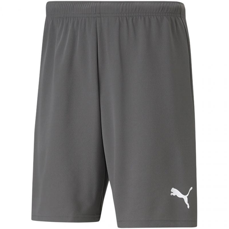 Puma teamRise Short M 704942 13 Short