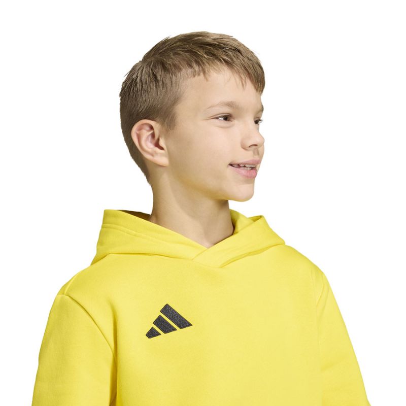 Kép alternatív szöveg